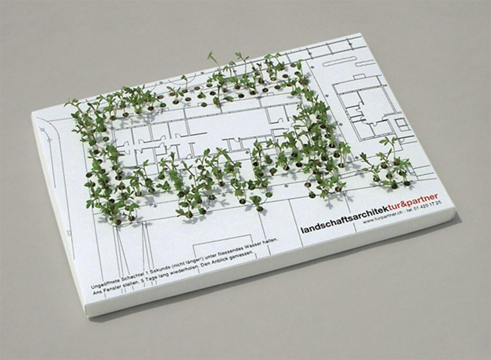 design