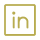 Linkedin icon
