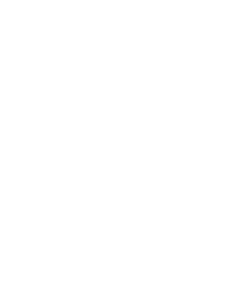 Levo Insight