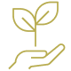 Brand Strategy + Storytelling icon