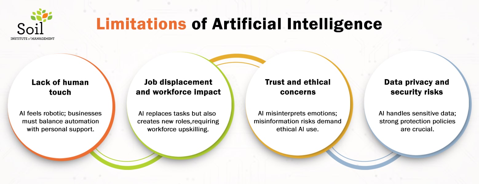 Limitations and Boundaries of AI