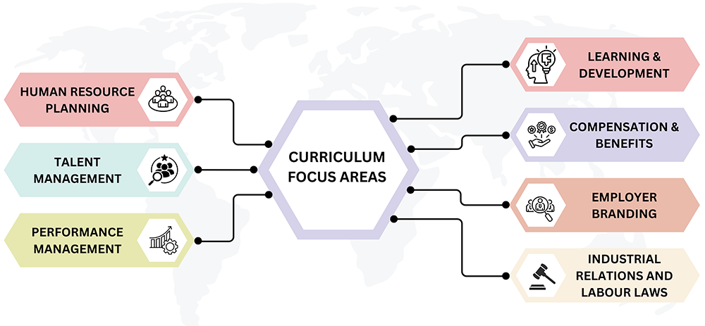 Curriculum Focus Areas